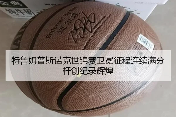 te-lu-mu-pu-si-nuo-ke-shi-jin-sai-wei-mian-zheng-cheng-lian-xu-man-fen-gan-chuang-ji-lu-hui-huang-2-409.jpg