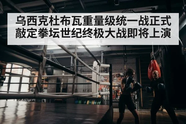 boxer training