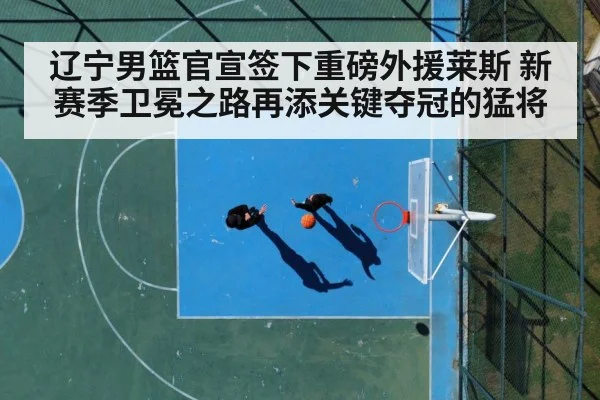 basketball court action
